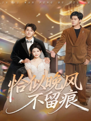 恰似晚风不留痕(61集) 恰似晚风不留痕(61集)在线观看全集