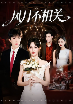 风月不相关（74集）免费看全集