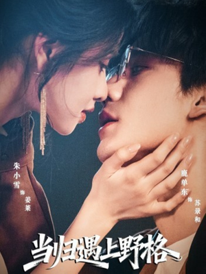 当归遇上野格(66集) 当归遇上野格(66集)不用花钱看全剧