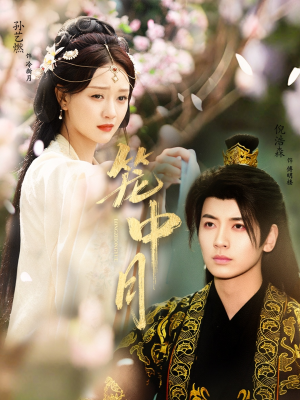 笼中月（65集）在线看完整版