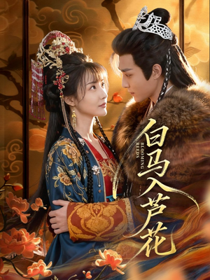 白马入芦花（59集）西瓜短剧免费看