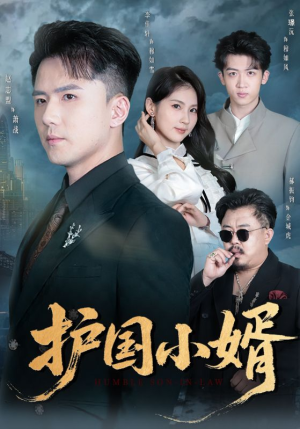 护国小婿（60集）短剧全集完整版