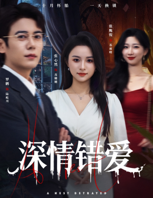 鸠占鹊巢(45集) 鸠占鹊巢(45集)演员表