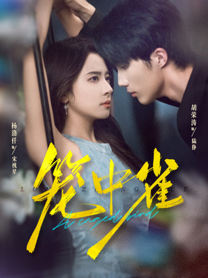 笼中雀（65集）民国短剧推荐