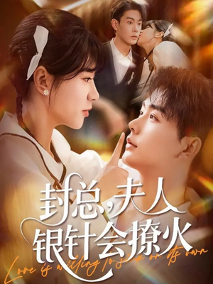 封总，夫人银针会撩火（69集）精彩热门短剧