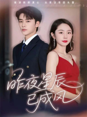 昨夜星辰已成风（75集）大结局