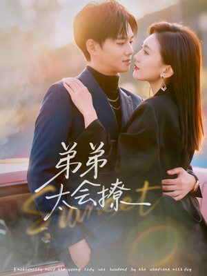 弟弟太会撩（81集）热门短剧大全