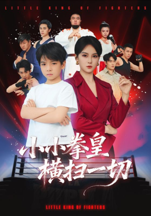 小小拳皇横扫一切（60集）在线播放