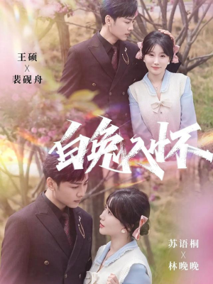 白兔入怀（60集）精彩短剧分享