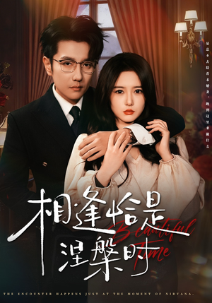 相逢恰是涅槃时（63集）最火爆短剧
