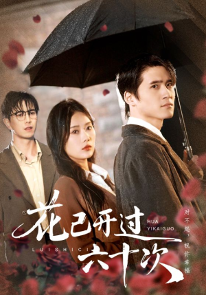 情敌交手她选择躺赢（72集）精彩热门短剧