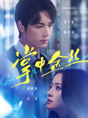 长姐她竟是隐藏大佬(60集) 长姐她竟是隐藏大佬(60集)热门短剧推荐