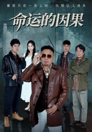 命运的因果（60集）一口气看完全集