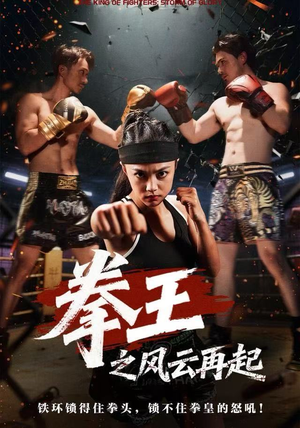 拳王之风云再起（50集）推荐热门短剧