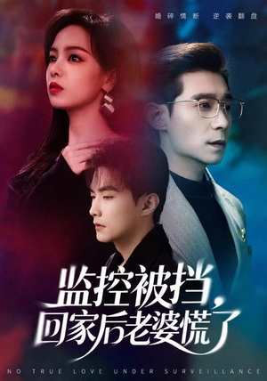 监控被挡，回家后老婆慌了（60集）恋爱短剧分享