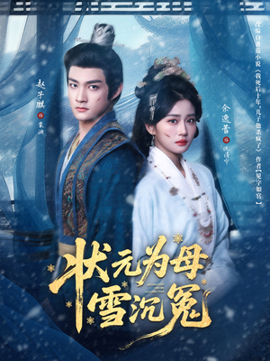 状元为母雪沉冤（58集）精彩短剧看全集