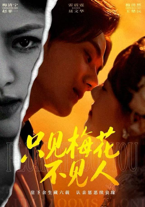 只见梅花不见人（63集）在线观看全集