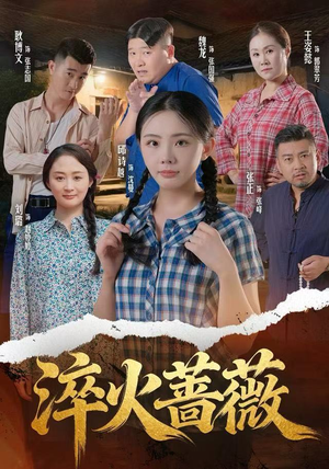 淬火蔷薇（50集）精彩连连免费看