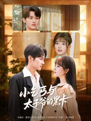 小乞丐与太子爷的黑卡（60集）全剧免费观看