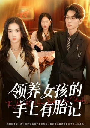 领养女孩的手上有胎记（60集）短剧精彩推荐