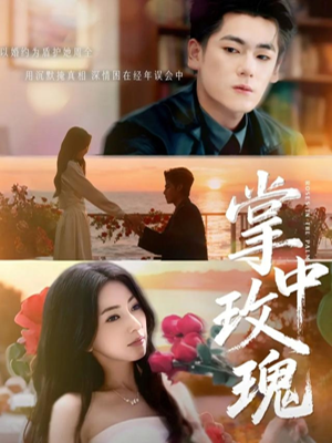 掌中玫瑰（60集）精彩热门短剧
