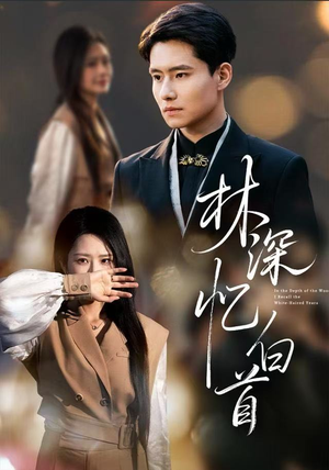 林深忆白首（60集）全集完整版