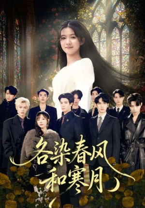 尘埃里的真千金（67集）精彩短剧来袭