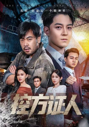 控方证人（75集）视频在线看