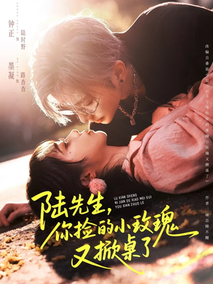 陆先生，你捡的小玫瑰又掀桌了（74集）在线观看全集