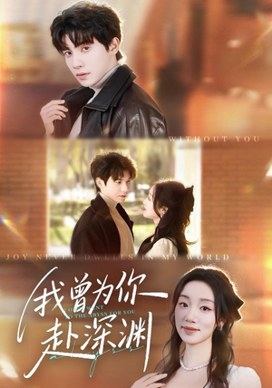 我曾为你赴深渊（63集）第三季