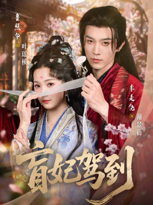 盲妃驾到（65集）免费观看全集