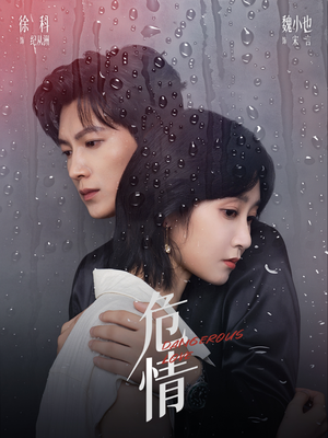 危情（65集）演的怎么样