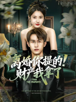离婚你提的！财产我拿了（63集）超好看短剧推荐