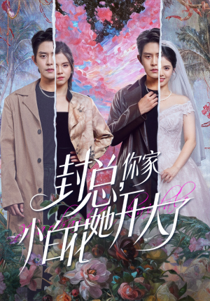 封总，你家小白花她开大了（60集）在哪看是免费的