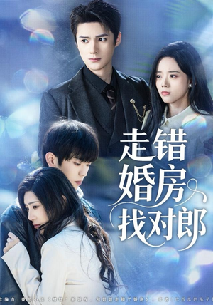 走错婚房找对郎（50集）温柔追捕短剧
