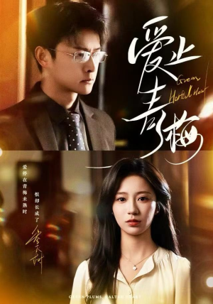 爱止青梅（60集）让你一口气看完