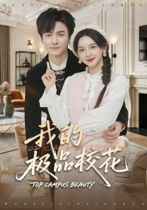 我的极品校花(80集) 我的极品校花(80集)解说