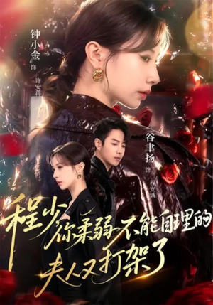 程少你柔弱不能自理的夫人又打架了（60集）去哪里看