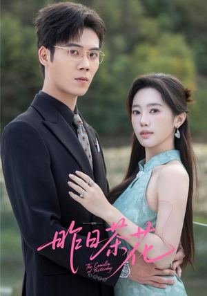 昨日茶花（56集）精彩短剧合集