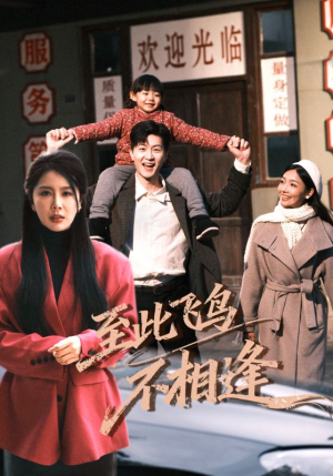 至此飞鸟不相逢（70集）好看到停不下来