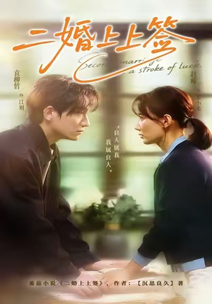 二婚上上签（71集）演员表