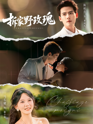 拆家野玫瑰（80集）最热短剧抢先看