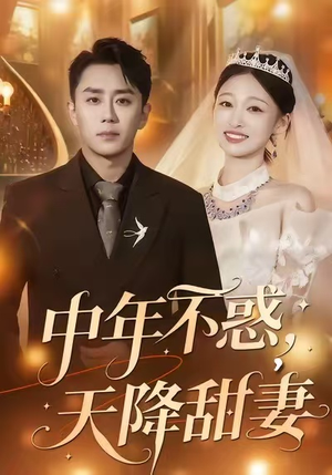 中年不惑,天降甜妻(60集) 中年不惑,天降甜妻(60集)超爽短剧推荐