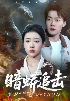 暗蟒追击（35集）正能量短剧分享