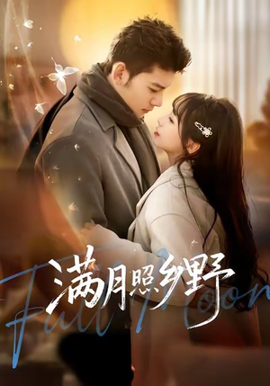 满月照乡野（70集）剧好看短剧推荐