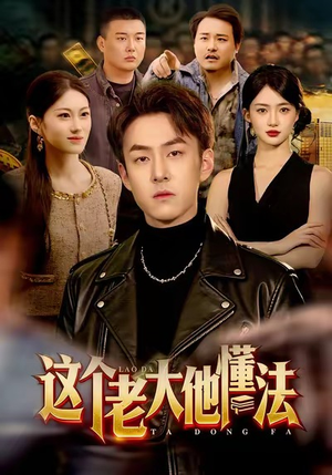 这个老大他懂法（100集）短剧在线观看