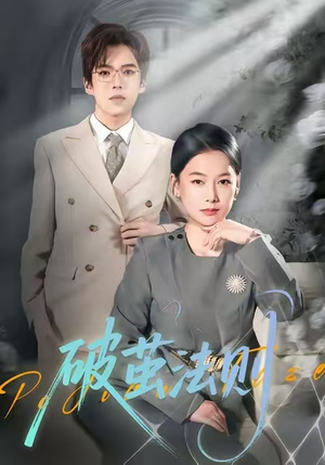 破茧法则（66集）口碑之选免费看