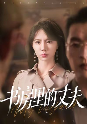 书房里的丈夫(100集) 书房里的丈夫(100集)好短剧分享