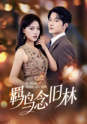 羁鸟念旧林（60集）大结局一气呵成