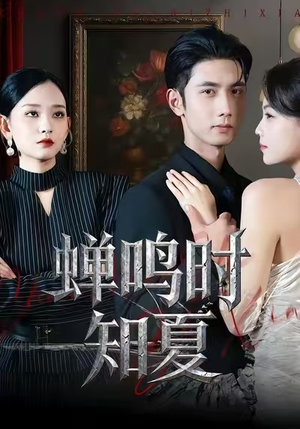 蝉鸣时知夏（64集）评价怎么样